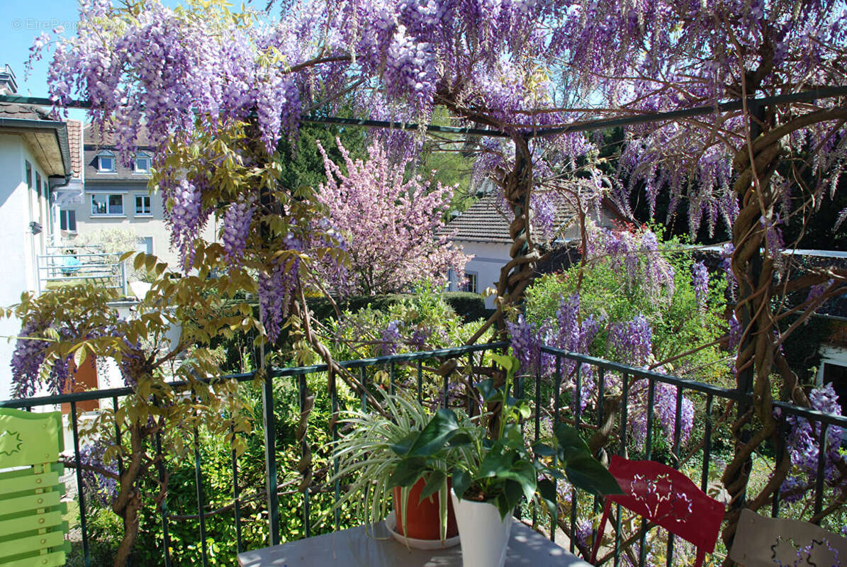 Appartement à MULHOUSE