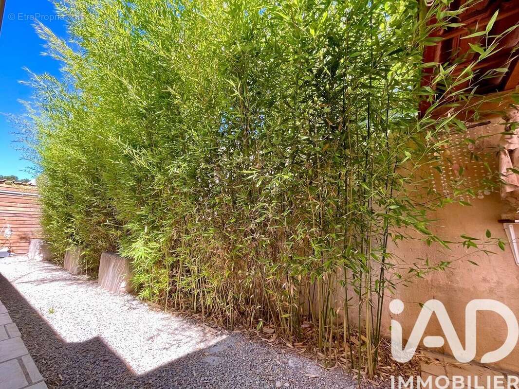 Photo 9 - Maison à JUVIGNAC