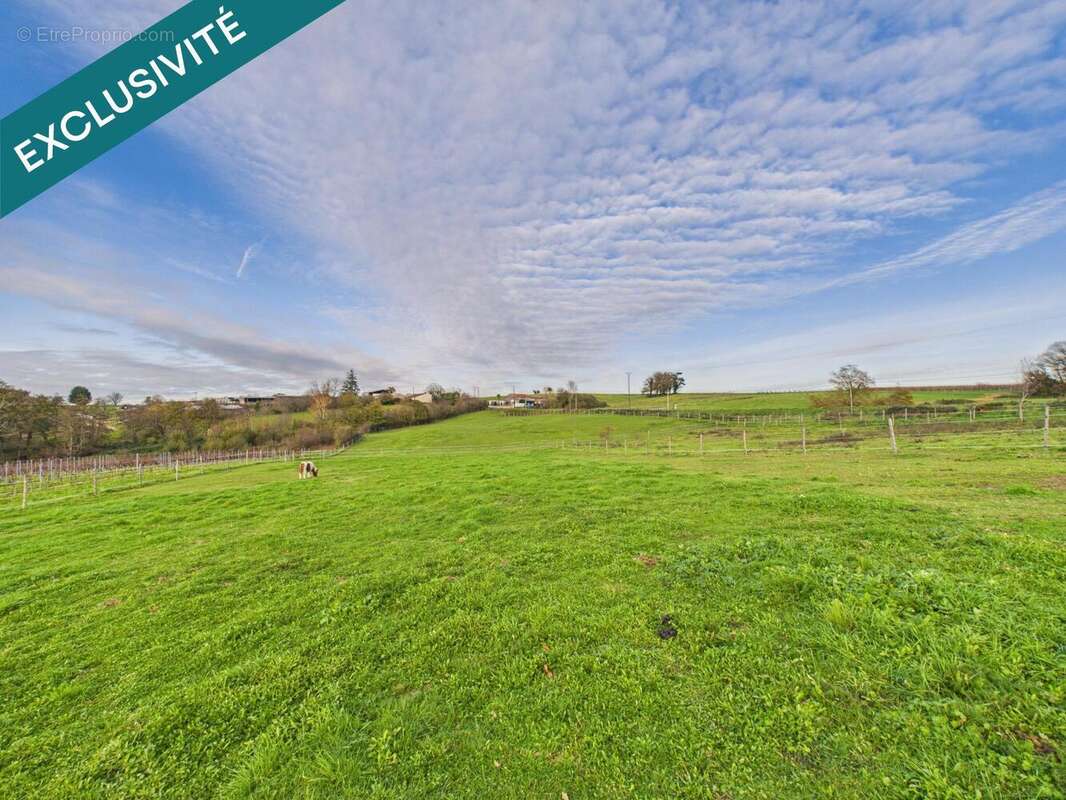 Photo 7 - Maison à MIRAMBEAU