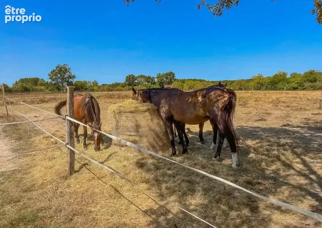 Domaine équestre 28 ha à Ménesplet Dordogne (24) - photo 2