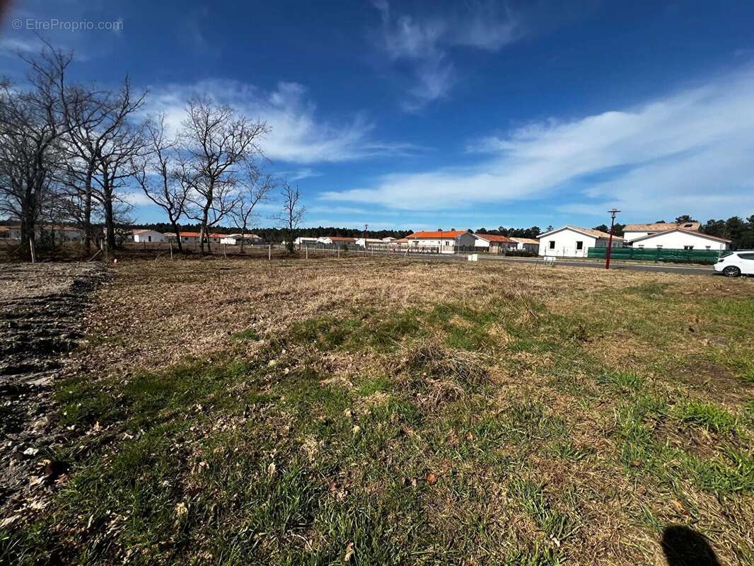 Terrain à PARENTIS-EN-BORN