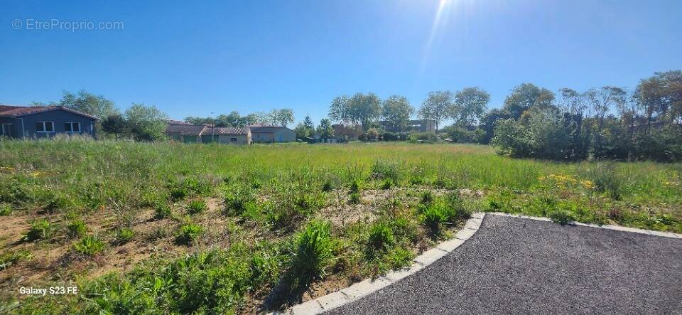 Terrain à RABASTENS