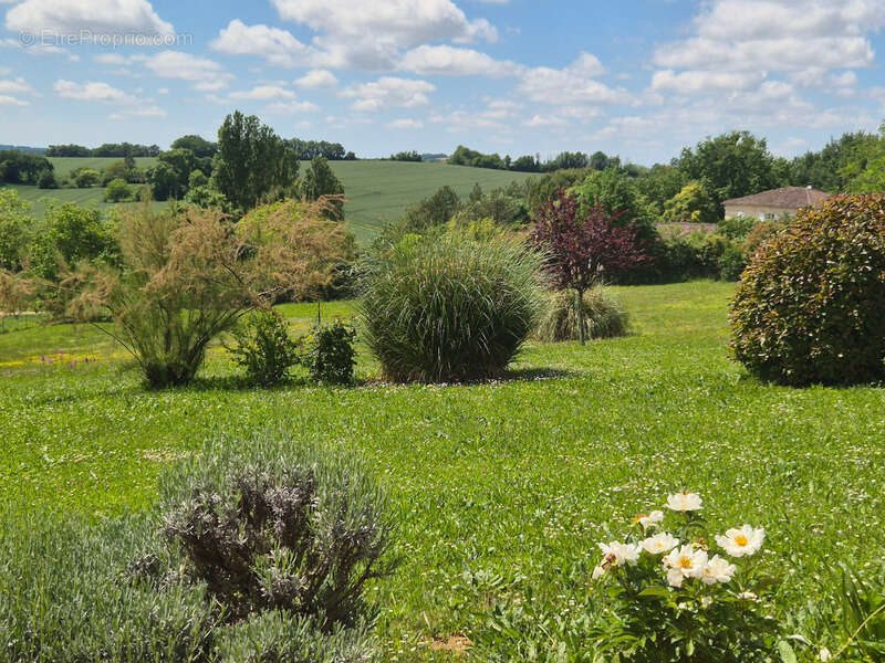 Maison contemporaine de plain-pied avec vue dominante, 4 chambres– Saint-Puy (32310) - photo 23