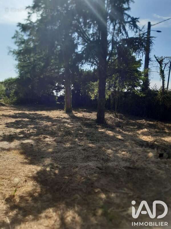 Photo 3 - Terrain à ROMANS-SUR-ISERE