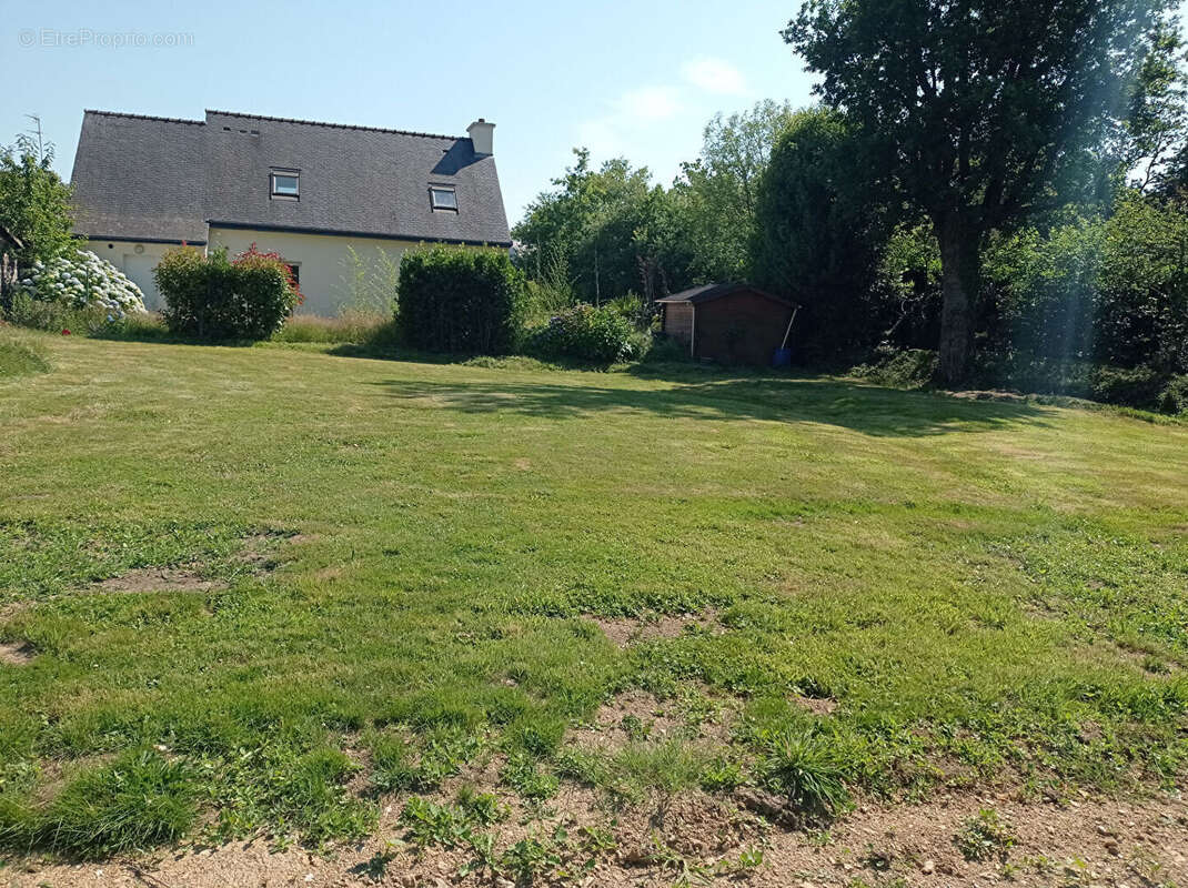 Terrain Sainte Anne D'Auray  - 780 m² - photo 2