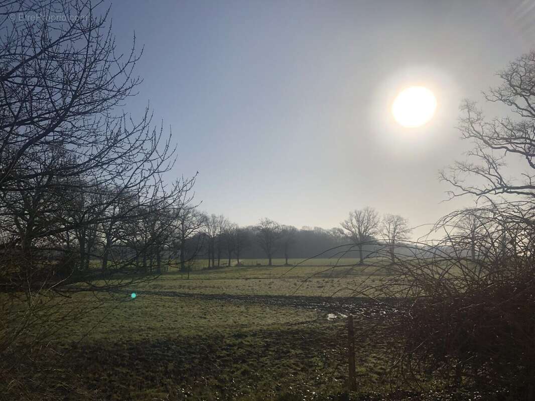 Maison à GUEMENE-PENFAO