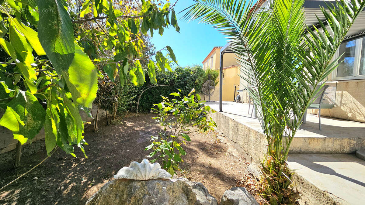 Maison à FRONTIGNAN