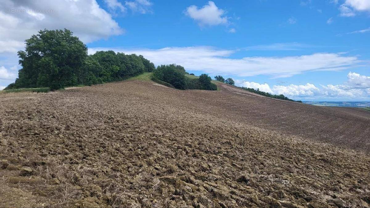 Terrain à BEAUMONT-DE-LOMAGNE