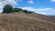 Terrain à BEAUMONT-DE-LOMAGNE