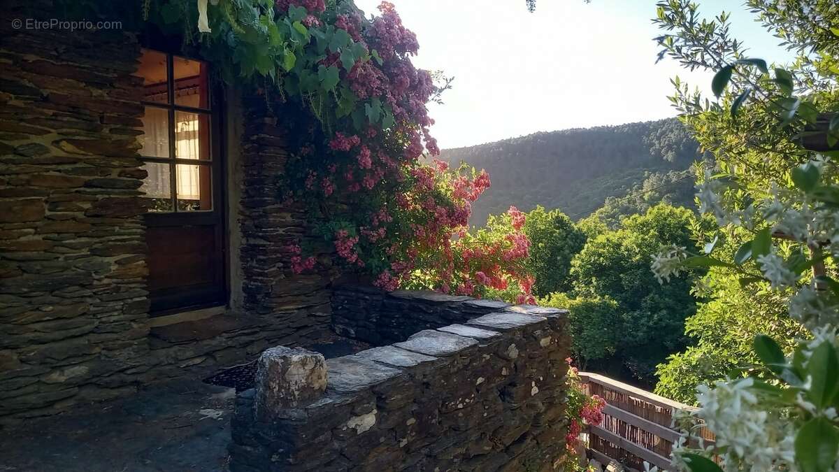 Maison de hameau à vendre SAINT MARTIN DE BOUBAUX (48) - photo 6