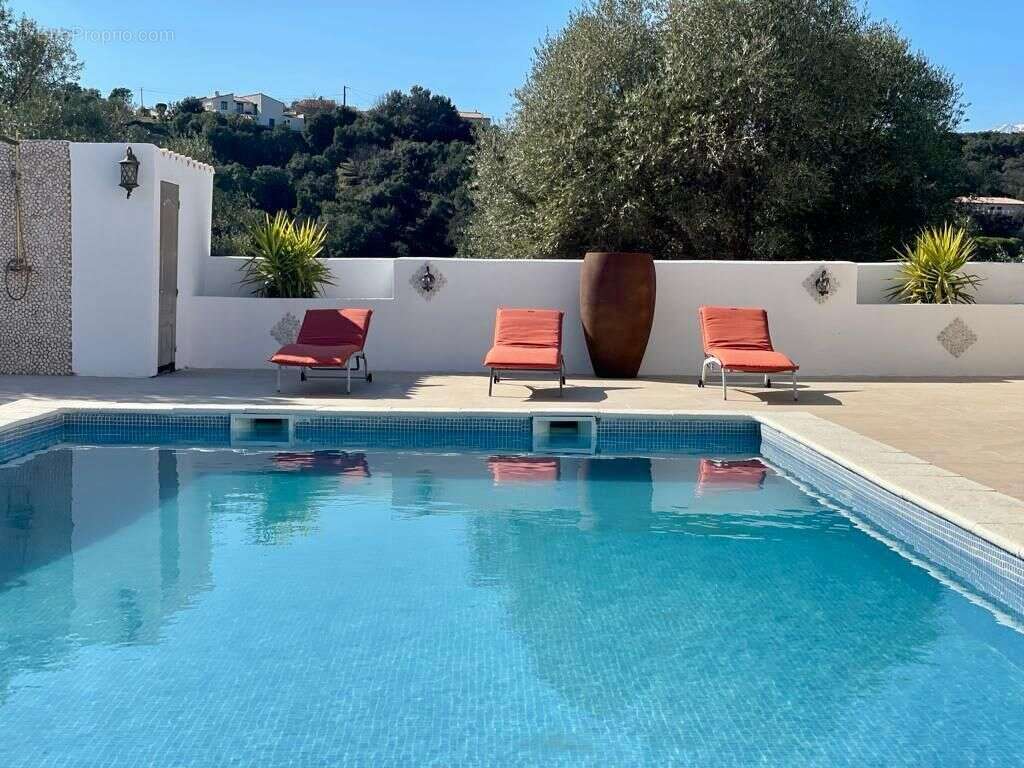 URGENT! Villa 9/10 pièces de 250m² sur terrain de 1250m² avec piscine à vendre / Céret 66400-66490 Vivès _ Saint-Jean-Pla-de-Cor - photo 4