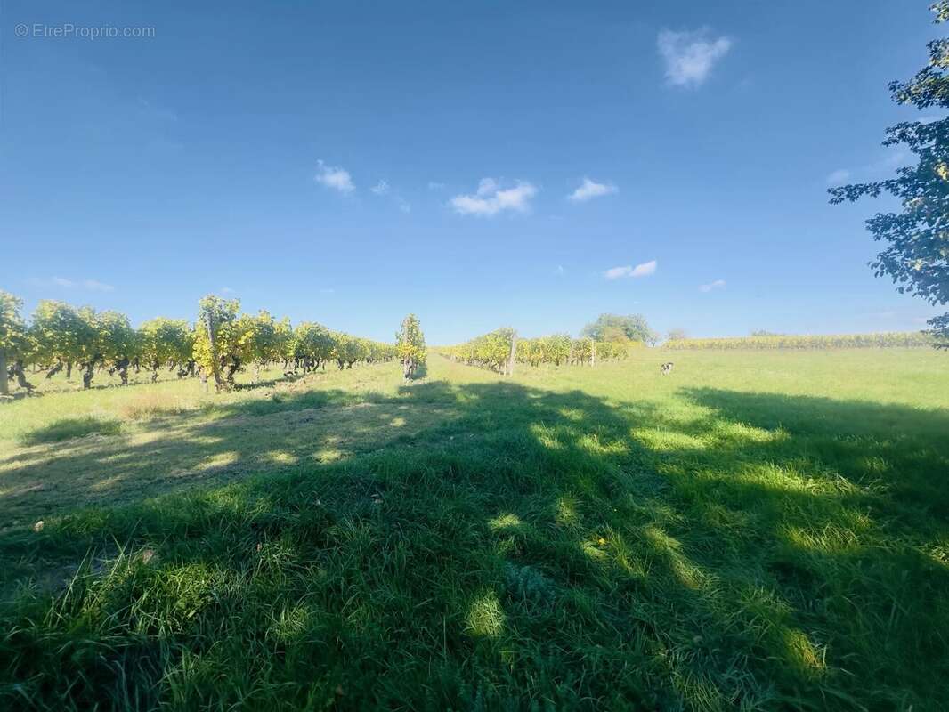 Maison à MONBAZILLAC