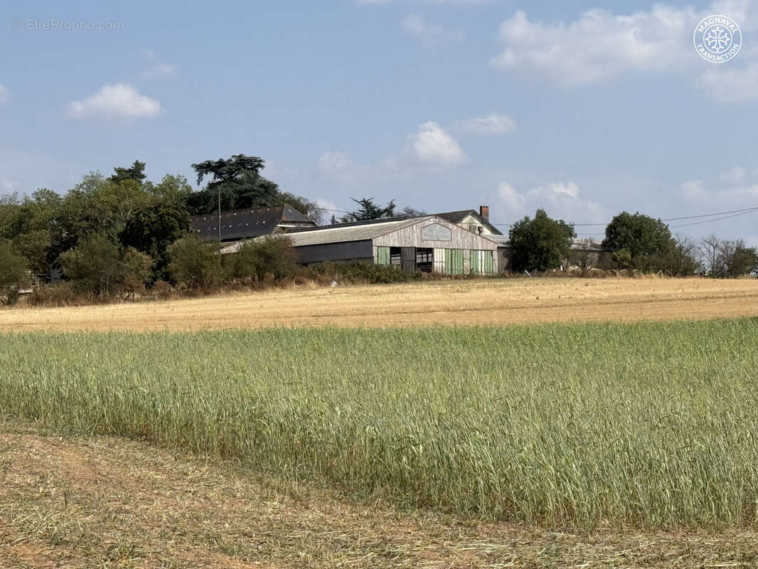 Domaine de caractère   projet gîtes & agritourisme   40 ha - photo 22