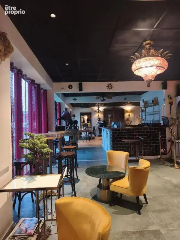 A vendre , murs commerciaux et professionels de 297m²+27m2 de réserve + 39m2 de garage avec un espace terrasse sur 852m2 de terr - photo 4