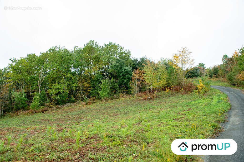 Terrain à SARLAT-LA-CANEDA