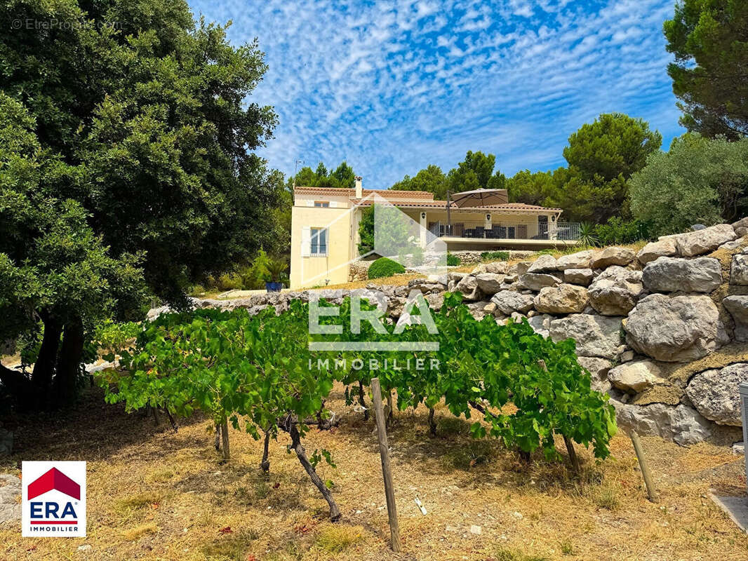 Maison 240m² à l'isle-sur-la-sorgue - photo 3