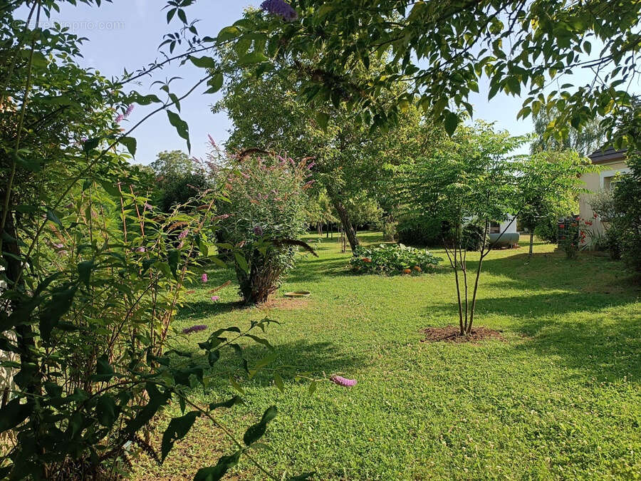 Nérondes (18350)   Ensemble immobilier de 227 m2 avec logement indépendant, véranda et deux garages - photo 22