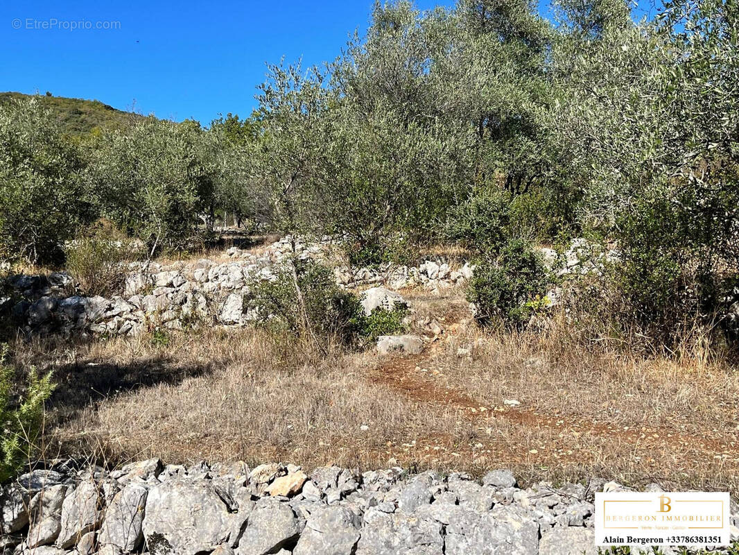 Terrain à SAINT-CEZAIRE-SUR-SIAGNE