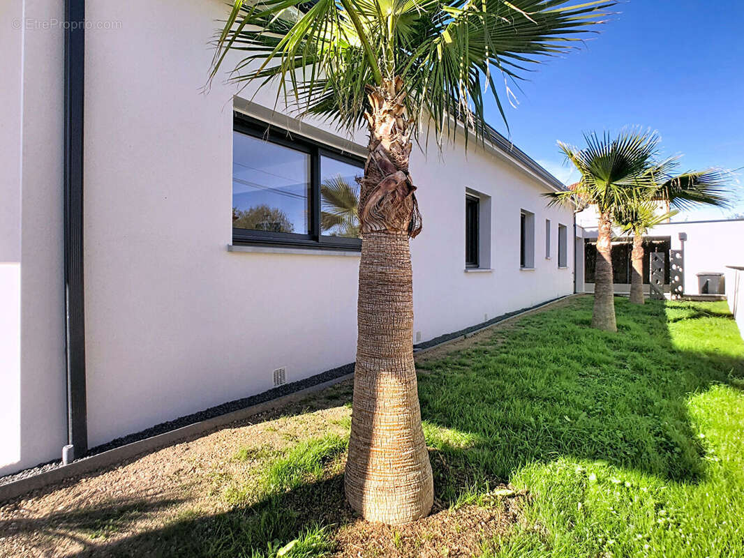 Maison à BUZET-SUR-TARN