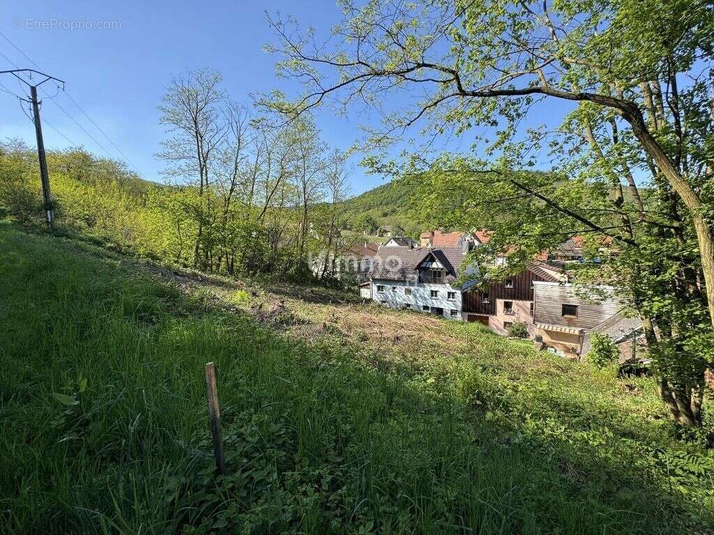 Terrain à ORSCHWILLER