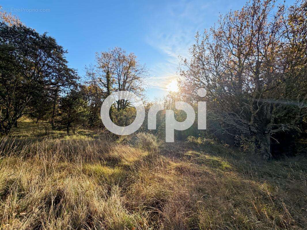 Terrain à VALLON-PONT-D'ARC