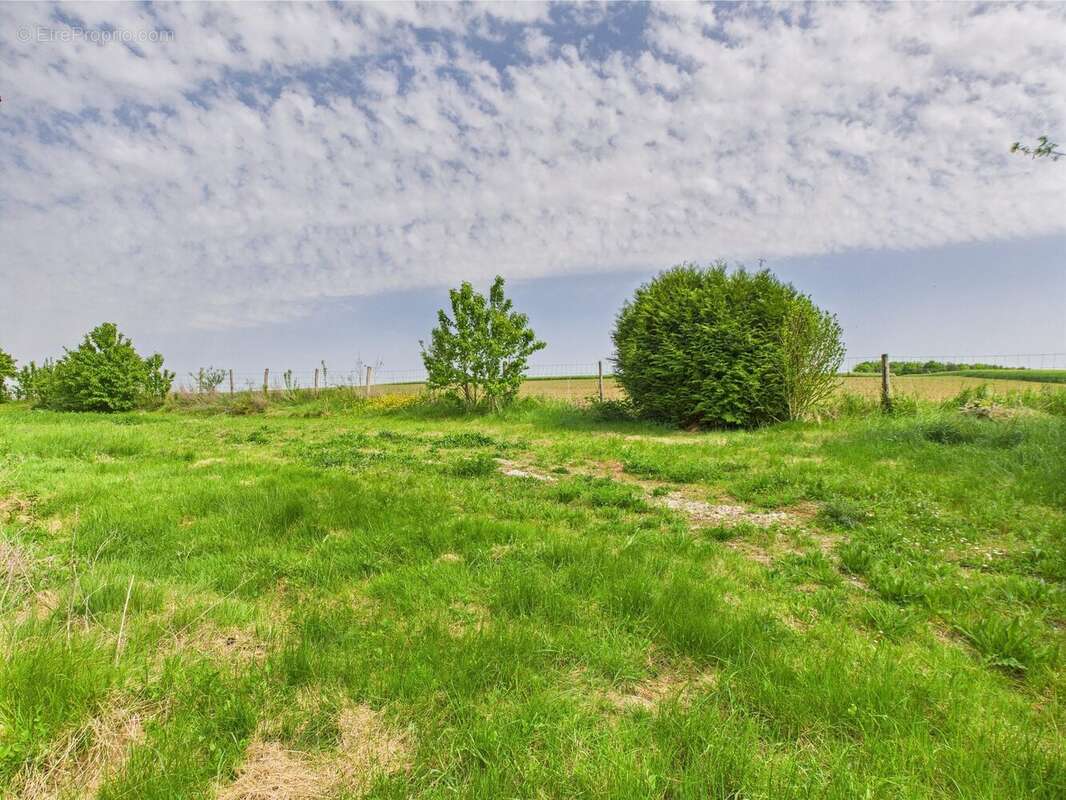 Terrain à NOGENT-SUR-SEINE