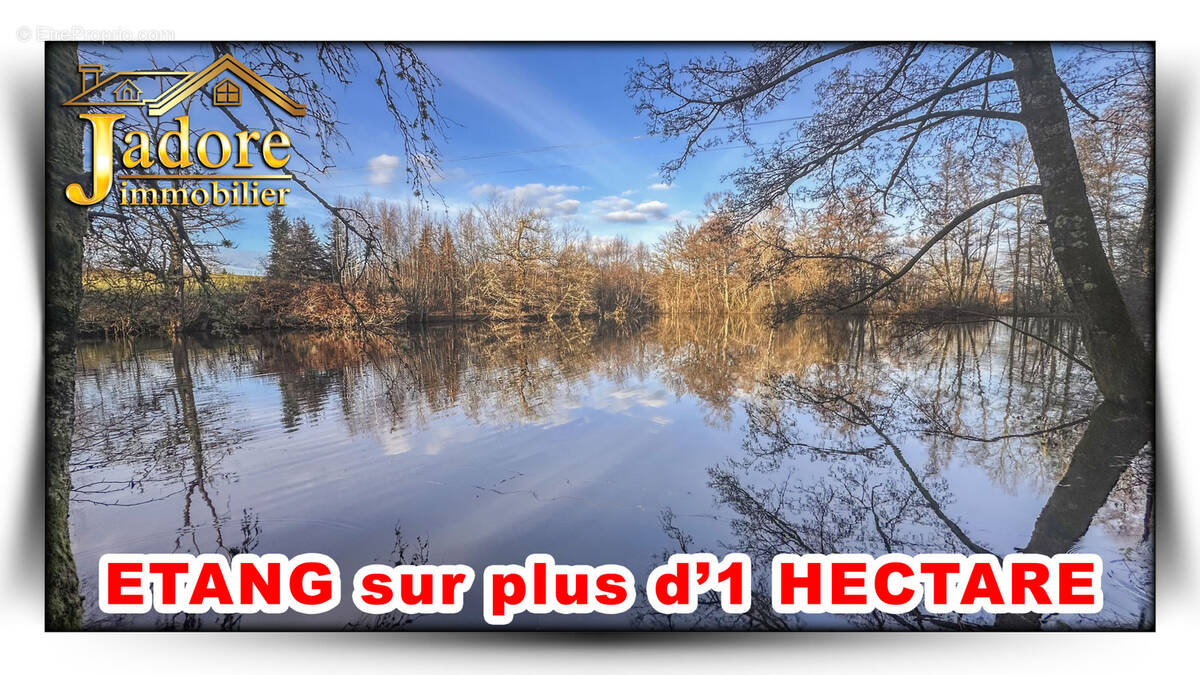 Terrain à COINCHES