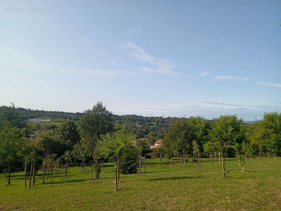 Terrain à CHATEAUNEUF-SUR-ISERE