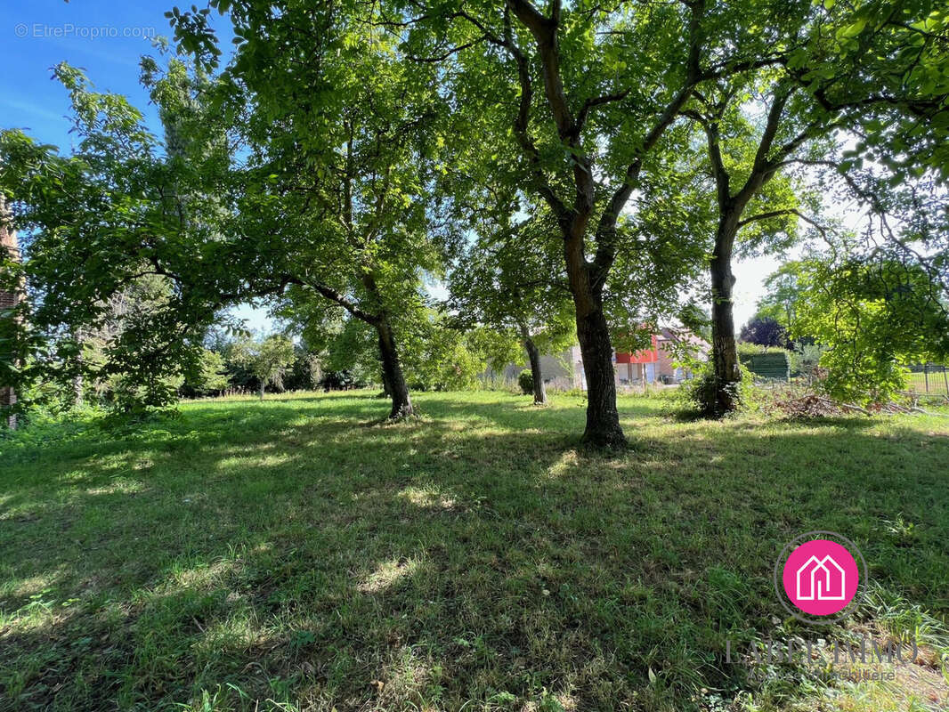 Terrain à SEBOURG