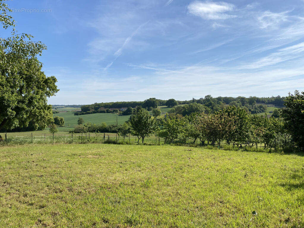 vue - Maison à AUBETERRE-SUR-DRONNE