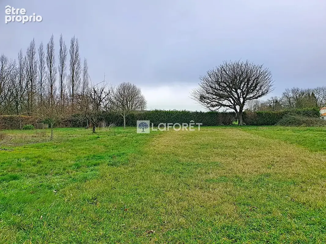 Terrain constructible - viabilisé - Saint Pardoux Soutiers - photo 9