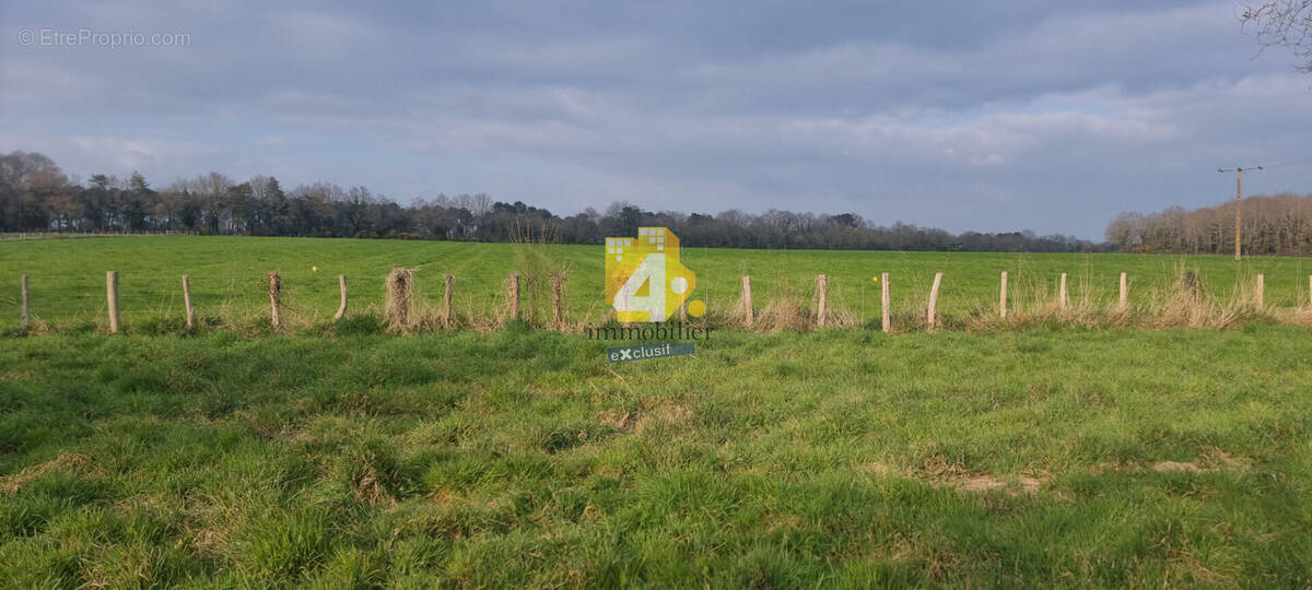 Terrain à MISSILLAC