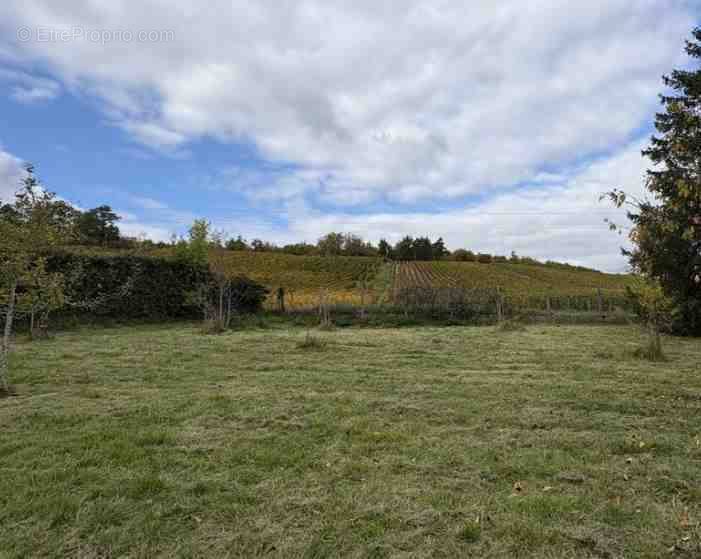 Terrain à VERRIERES