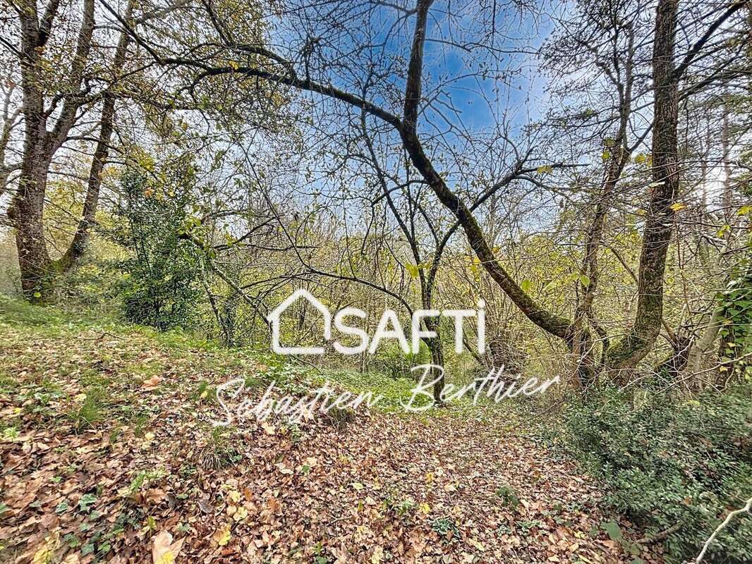 Photo 2 - Maison à LAVAUR