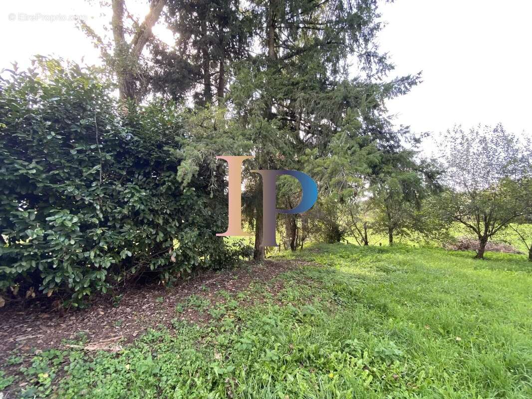 Maison à CHATEAUNEUF