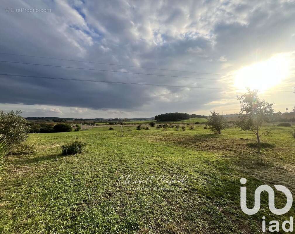 Photo 4 - Maison à MONTAGNAC