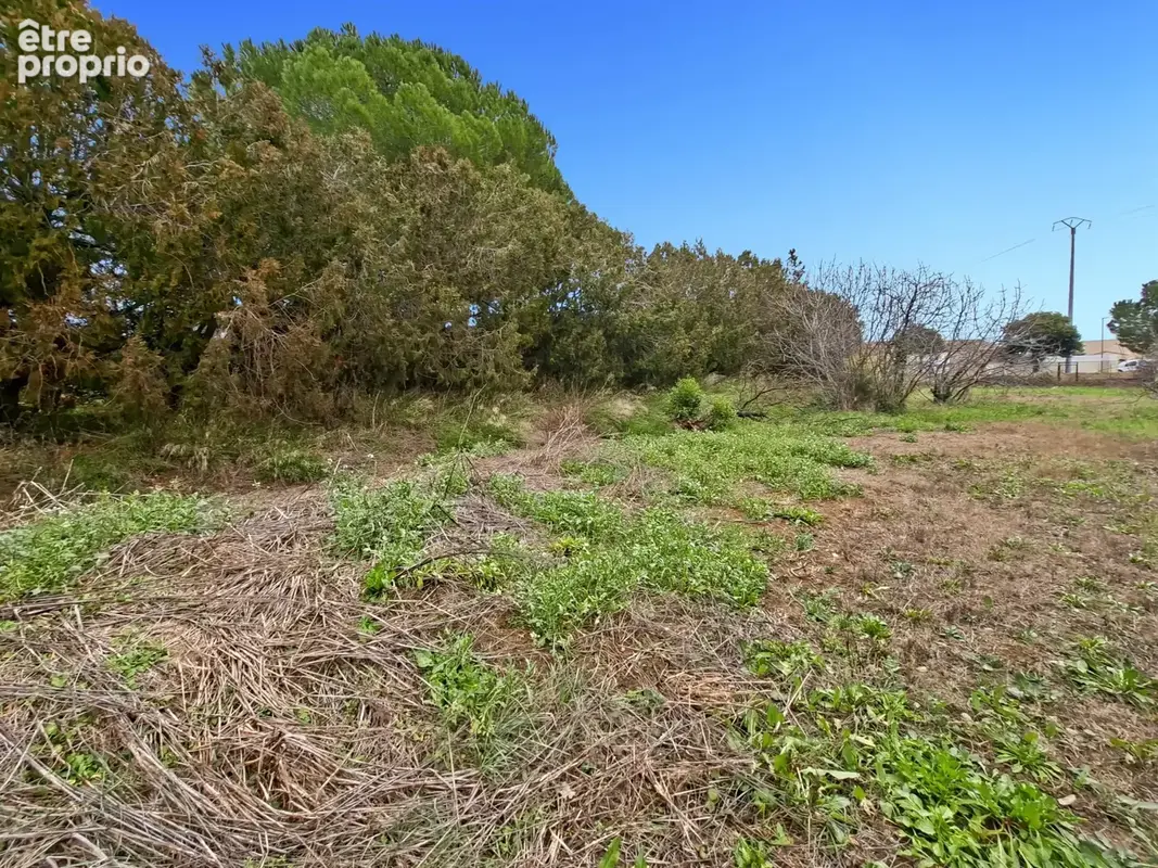 Cazouls-les-Béziers, superbe terrain constructible viabilisé de 455 m2 - photo 8