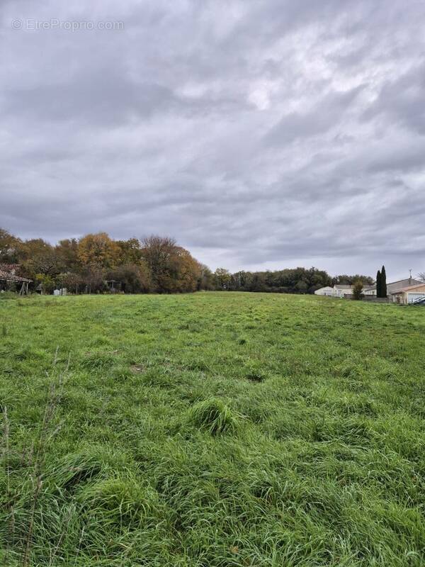 Terrain à GOND-PONTOUVRE
