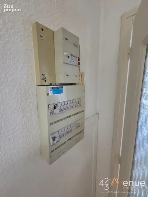Commerce 76 m² à vendre à Saint-Etienne (42000) - photo 7