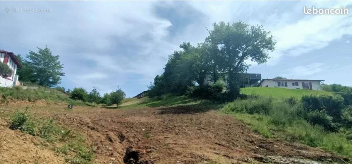 Terrain à SAINT-PEE-SUR-NIVELLE