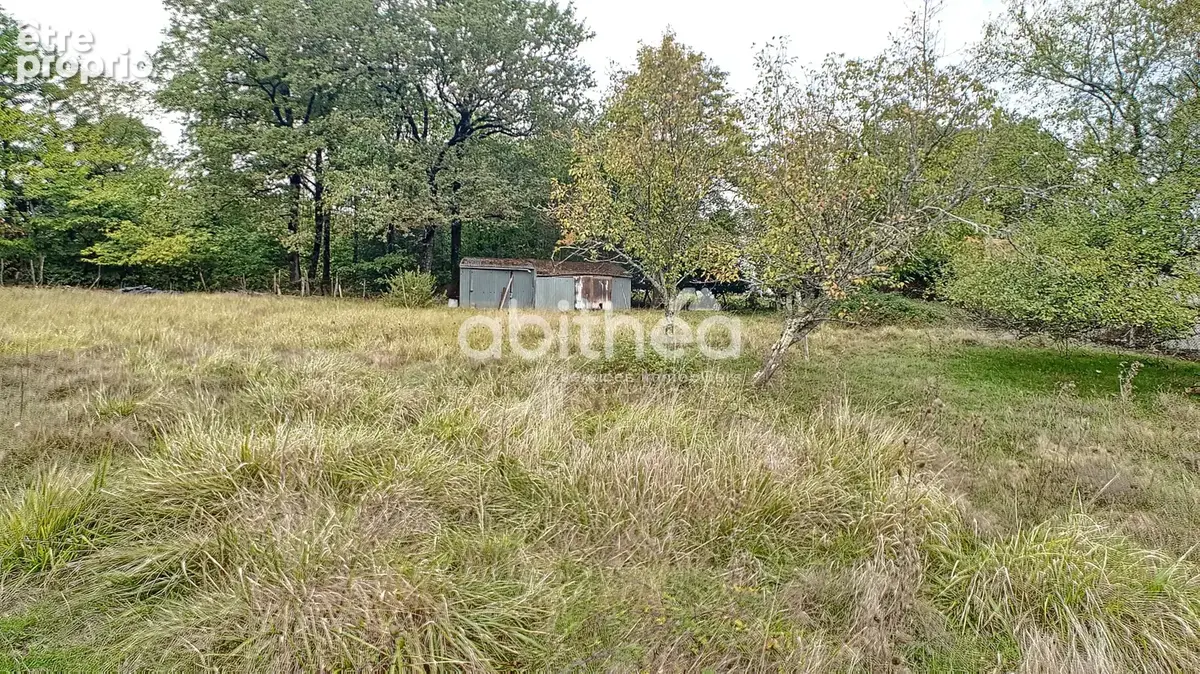 Terrain à NIEUIL