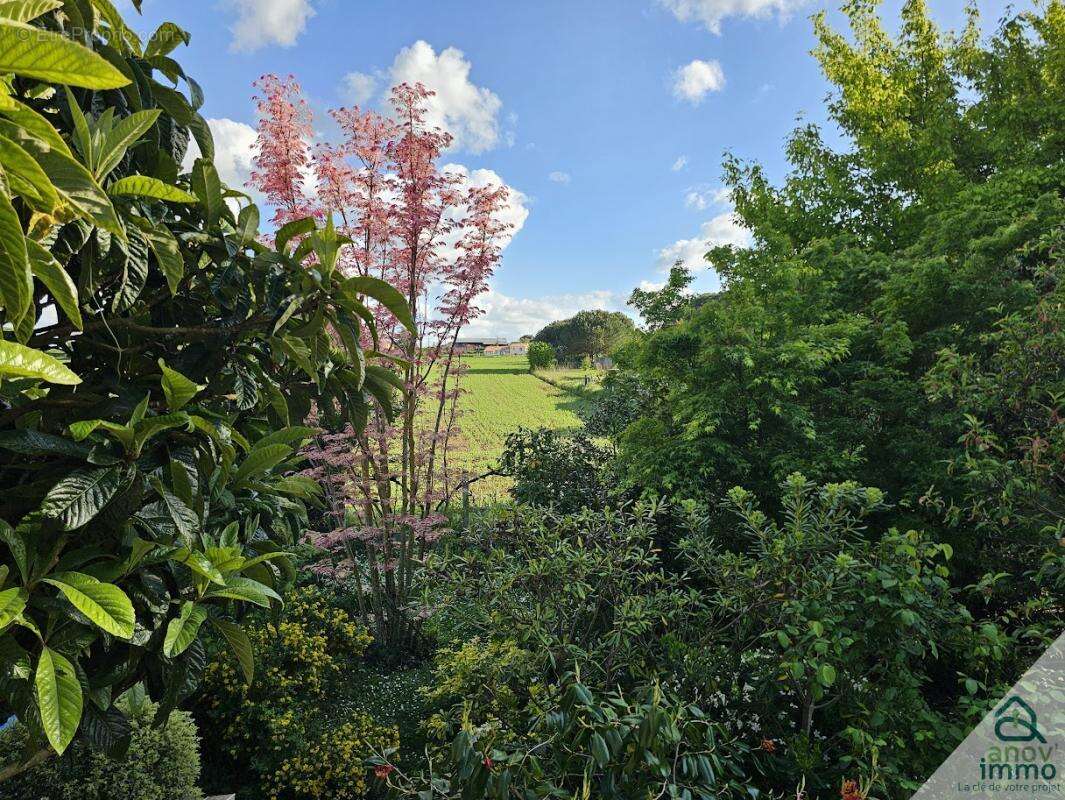 Maison à SAINT-JEAN-DE-THOUARS