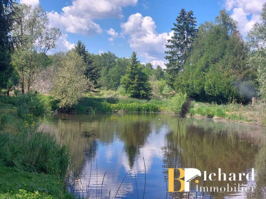 A vendre - etouvelles - etang - photo 3