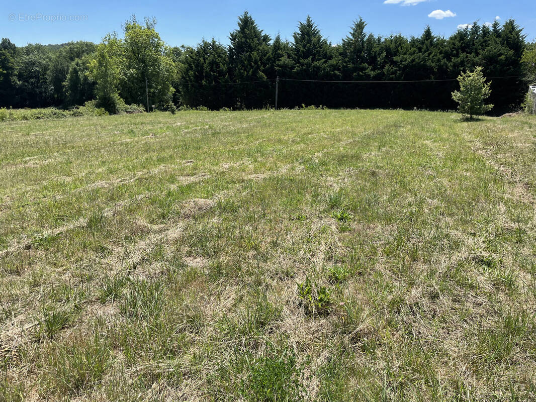 Terrain à MONTPEYROUX