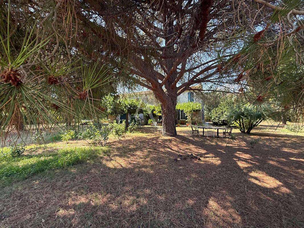 Une propriété d'exception 282m² - 7500m² de terrain - photo 13