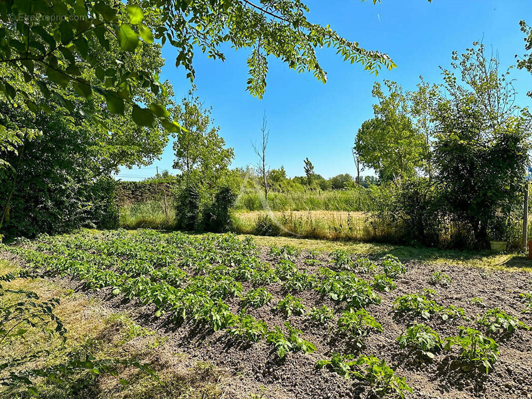 Maison à SAINT-JEAN-DE-MONTS