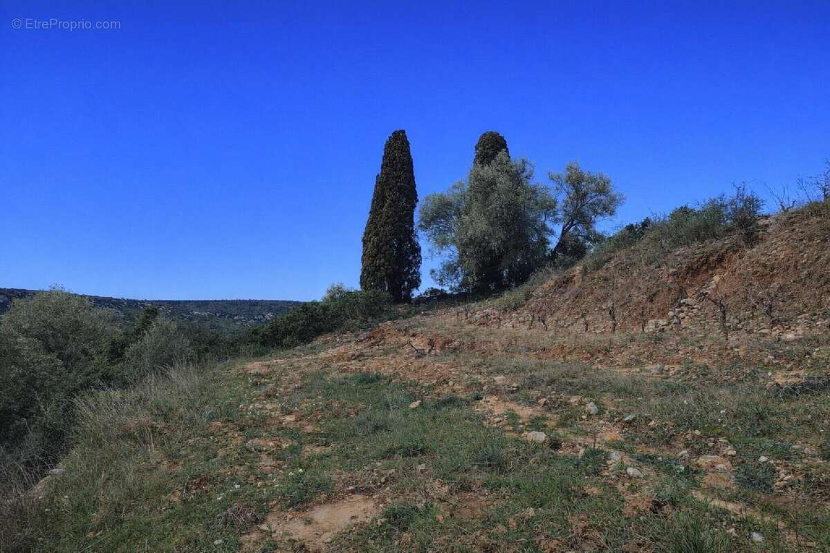 Photo 2 - Terrain à TAUTAVEL
