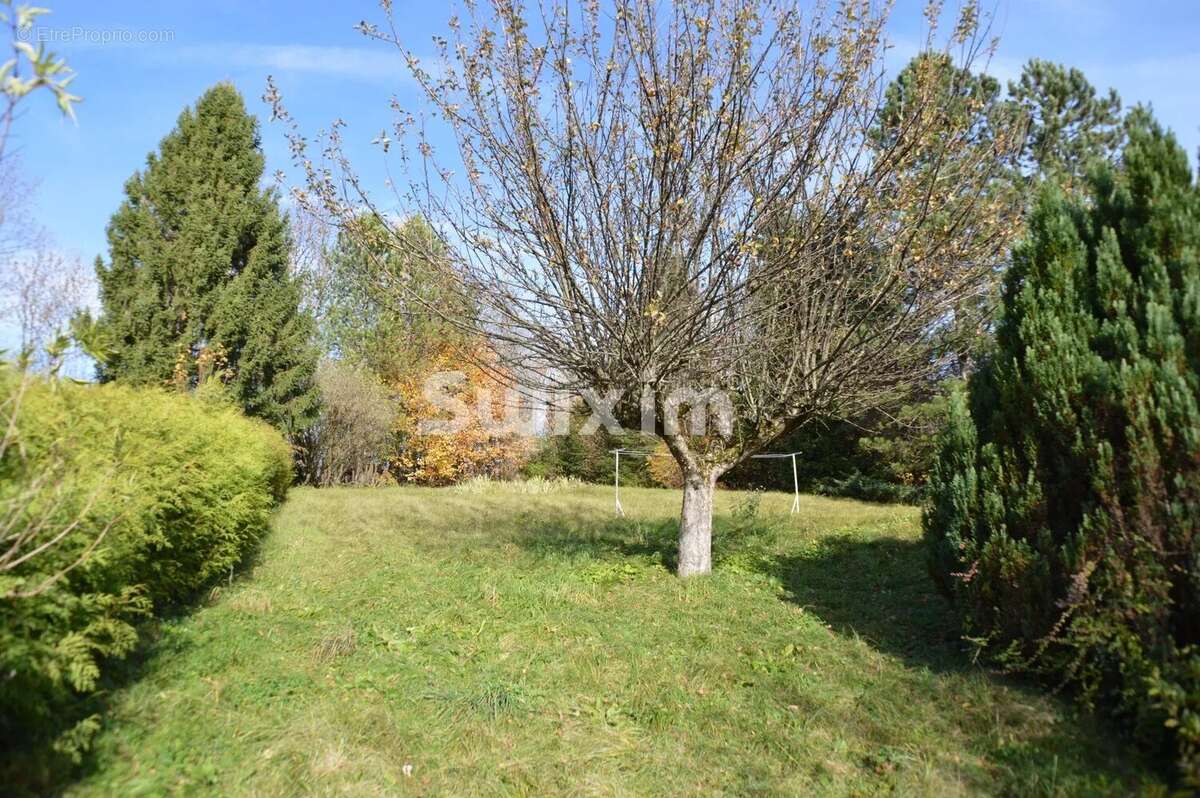 Maison à LA MOUILLE