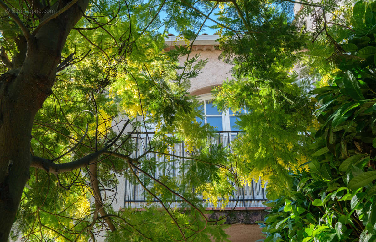 Maison à VILLENEUVE-LOUBET