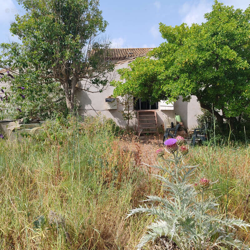 Terrain à SALLES-D&#039;AUDE